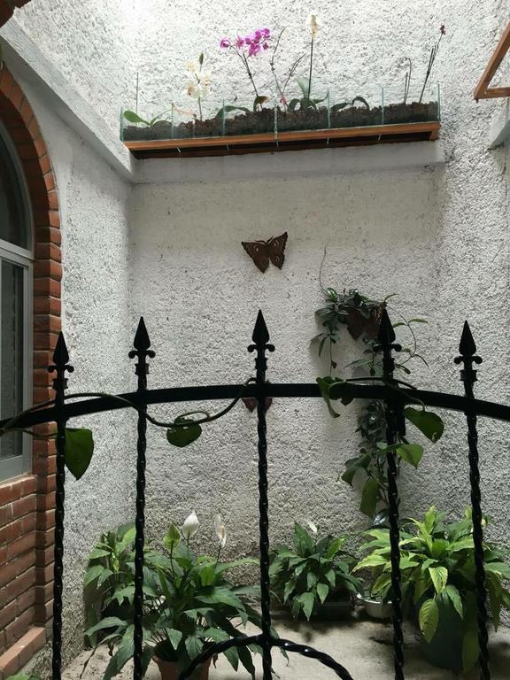 Hotel La Herradura Текосаутла Экстерьер фото
